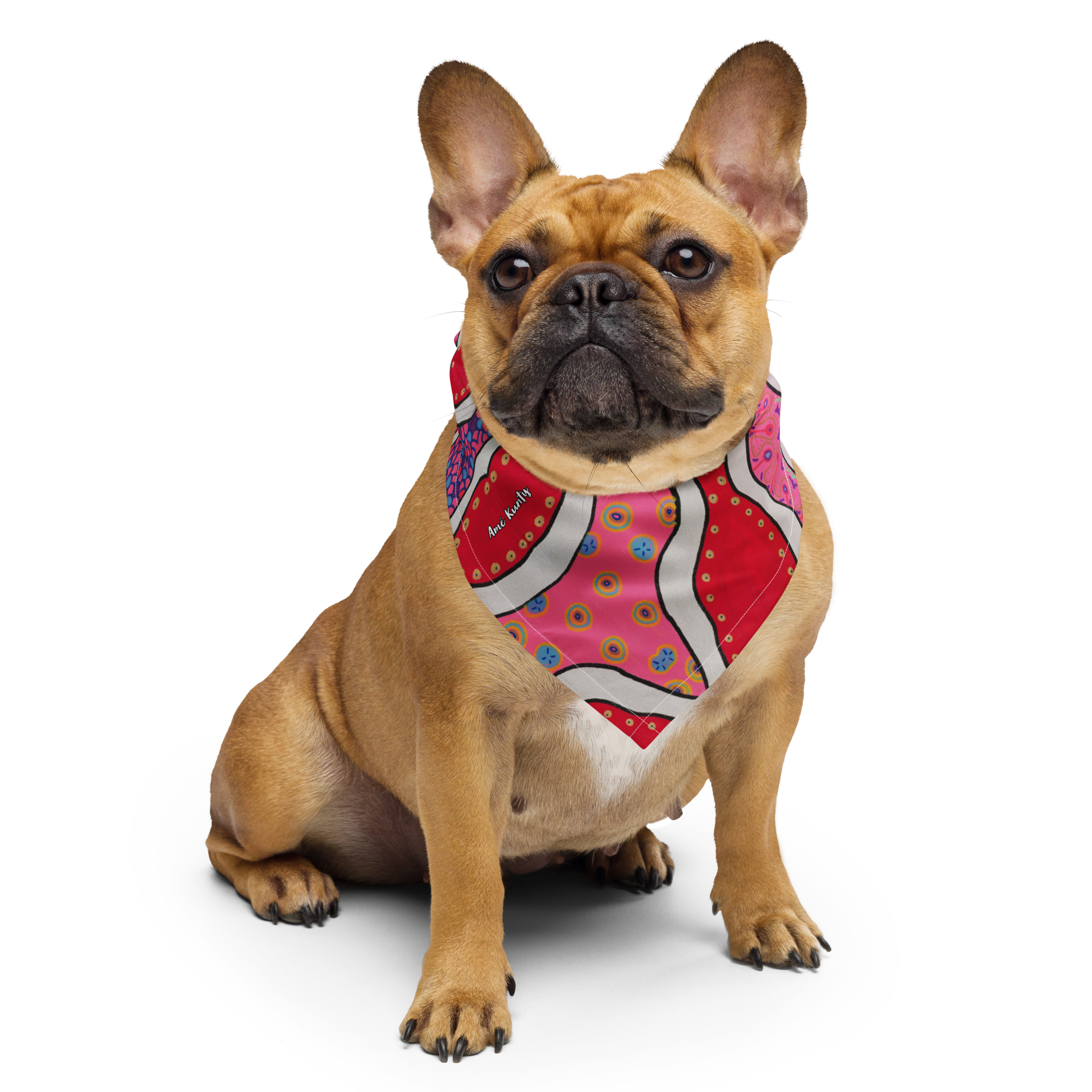 Bandana for Pet 'Mooning' ♻️